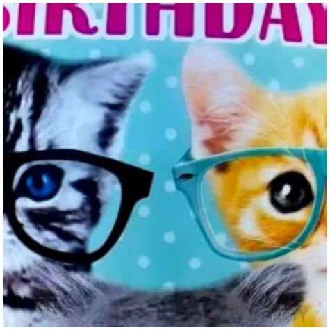 balon foliowy happy birthday koty w okularach jix 18 rnd