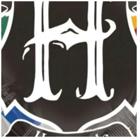 balon foliowy harry potter herb hogwartu amscan 27 shp