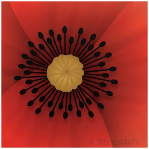 balon foliowy mak kwiatek czerwony qualatex 31 shp