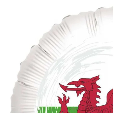 balon foliowy panstwa swiata walia bialy 18 rnd