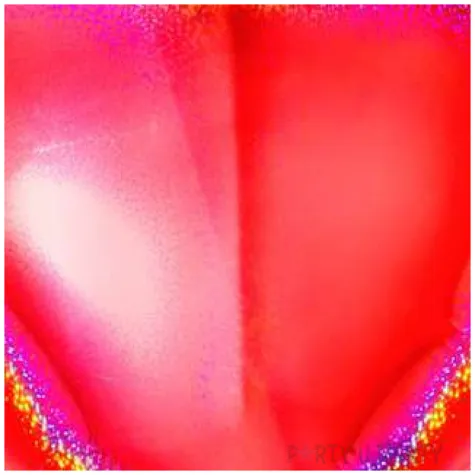 balon foliowy serca holo czerwony grabo 18 hrt