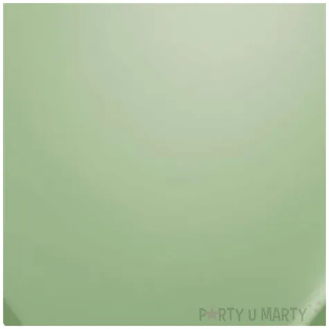 balony pastel kaktusowy qualatex 5 100 szt