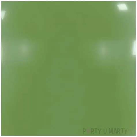 balony pastelowe dekoracja na urodziny do girlandy zielone eukaliptusowe anagram 24 4 szt