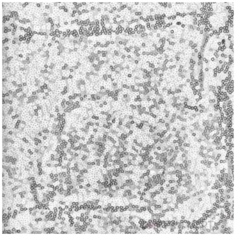 bieznik cekinowy siateczkowy srebrny partydeco 500 x 30 cm