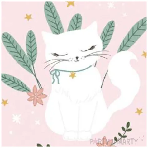 blok rysunkowy kotek z plakatem 2 w 1 partydeco 50 kartek