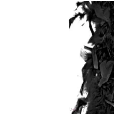 boa classic czarny partydeco 180 cm 45g