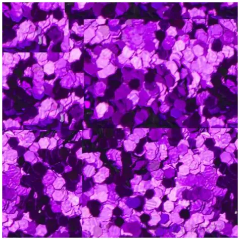 brokat sypki classic fioletowy 5g tuban