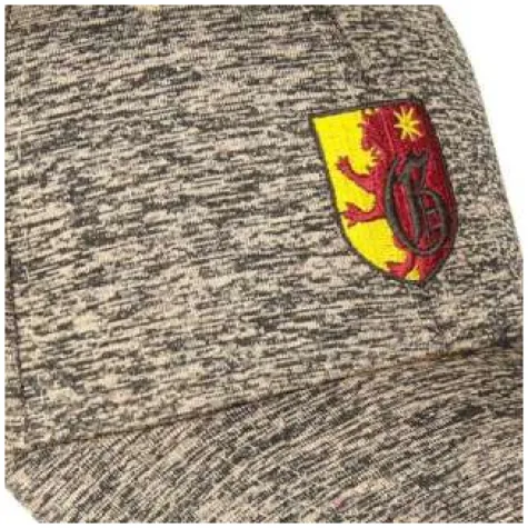 czapka z daszkiem harry potter gryffindor szara cerda