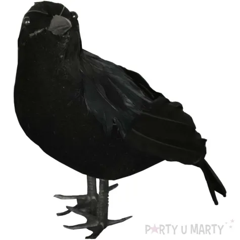 dekoracja czarny kruk guirca 25cm