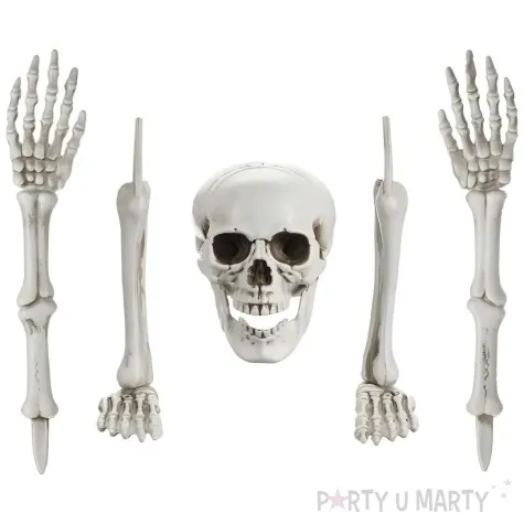 dekoracja fragmenty szkieletu partydeco