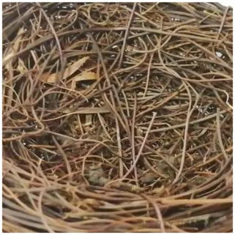 dekoracja gniazdko rattanowe braz aliga 12cm