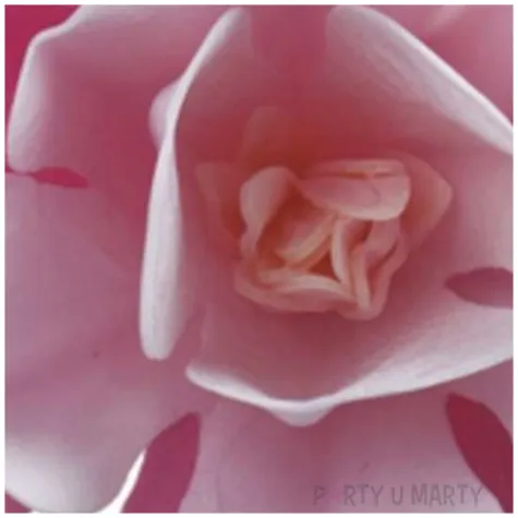 dekoracja na tort kwiat magnolia rozowa dekora 6 szt