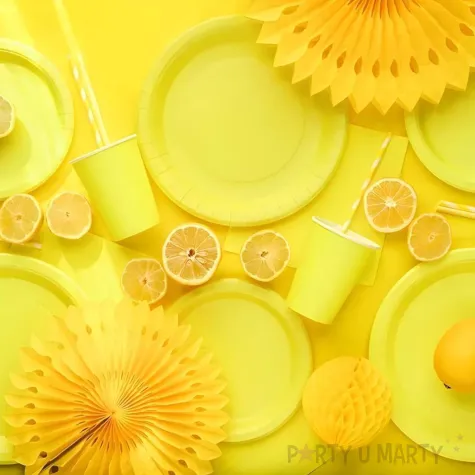dekoracja na urodziny jednorazowa zastawa stolowa talerzyki papierowe monokolor zolte 18 cm x6
