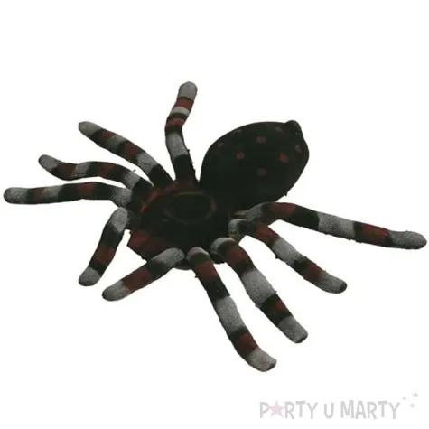 dekoracja pajak czarny fyasa 15 cm