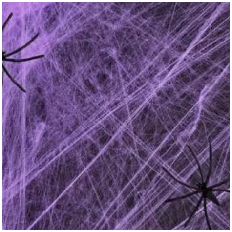 dekoracja pajeczynaz pajakami fioletowa partypal 60 g