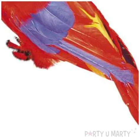 dekoracja pierzasta papuga widmann