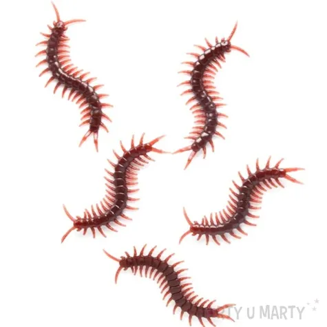 dekoracja skolopendry brazowe 100x30 mm 5 szt