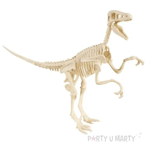 dekoracja szkielet dinozaura welociraptor ptitclown 24 cm