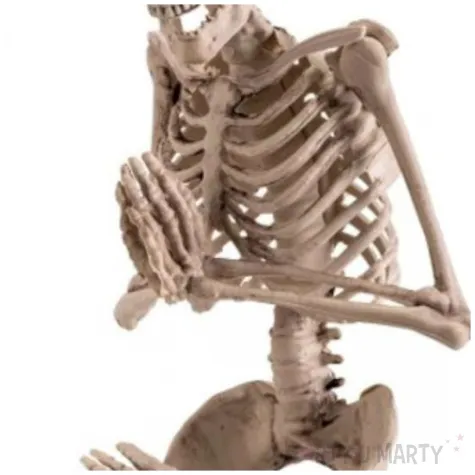 dekoracja szkielet jogin carnival toys 18 cm