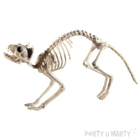 dekoracja szkielet kota smiffys 60 cm