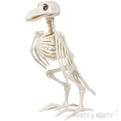 dekoracja szkielet kruka guirca 20 cm