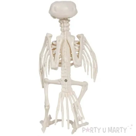 dekoracja szkielet kruka guirca 20 cm