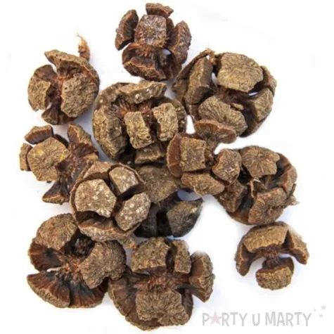 dekoracja szyszki japonskie aliga 12 szt