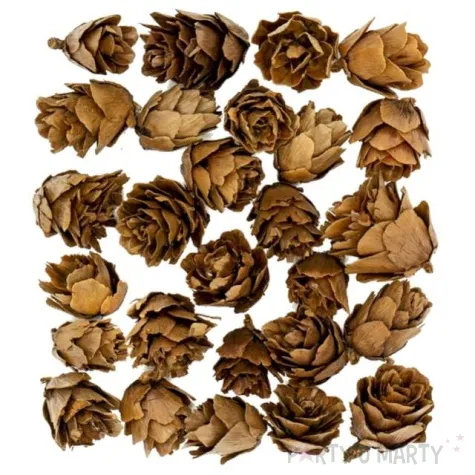 dekoracja szyszki modrzewiowe mini aliga 30 g