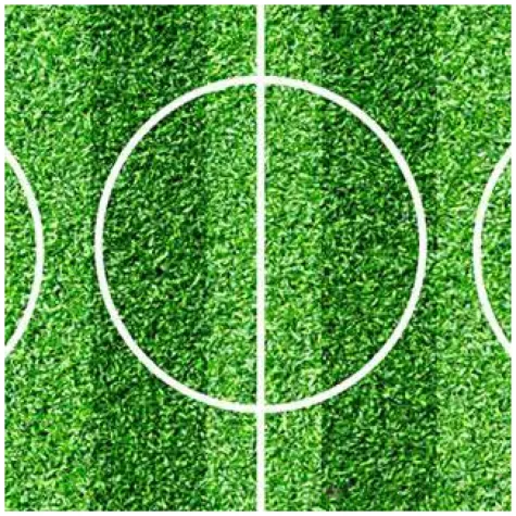 dekoracja tortu oplatek boisko 20 cm dekora