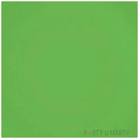 dekoracje na dzien swietego patryka talerzyki papierowe okragle zielony 18 cm 6 szt