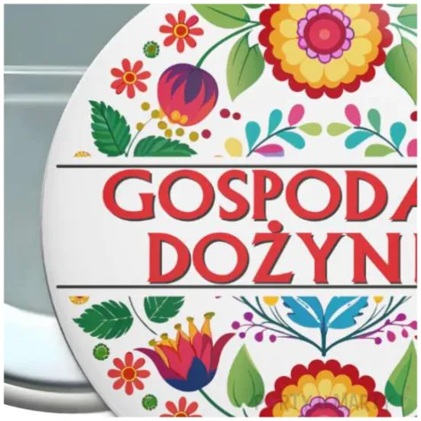 dodatek do stroju na dozynki gminne metalowa przypinka gospodarz dozynek pin zniwa