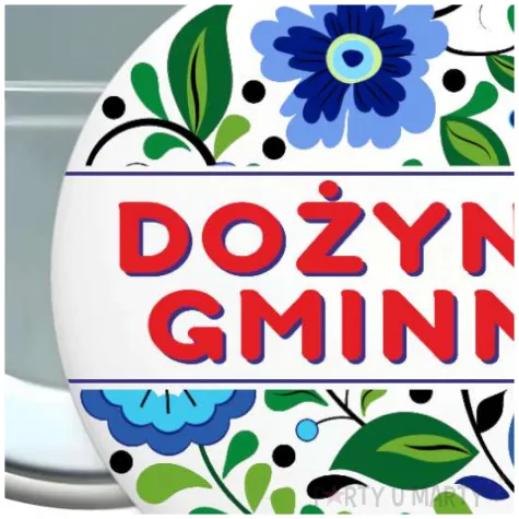 dodatek do stroju na dozynki gminne metalowa przypinka kwiaty pin zniwa