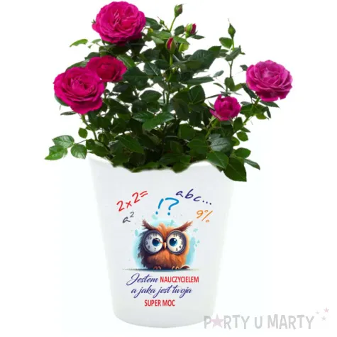doniczka jestem nauczycielem jaka jest twoja super moc bia y 10 cm
