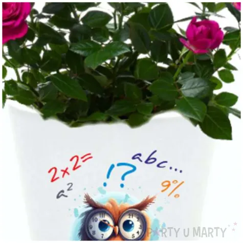 doniczka jestem nauczycielem jaka jest twoja super moc bialy 10 cm