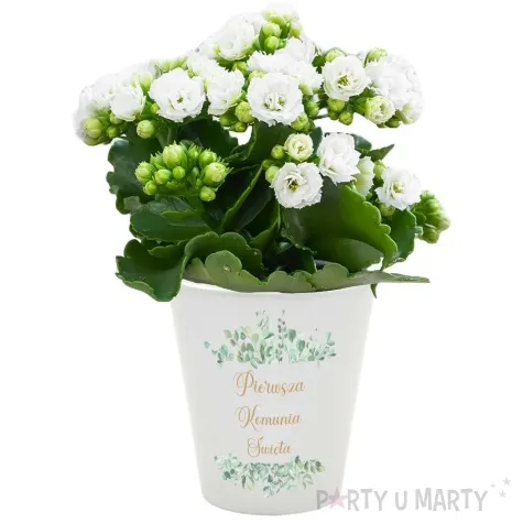 doniczka komunia swieta eukaliptus beauty bialy 10 cm