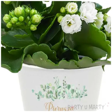 doniczka komunia swieta eukaliptus beauty bialy 10 cm