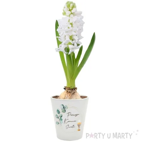 doniczka komunia swieta eukaliptus z hostia bialy 10 cm