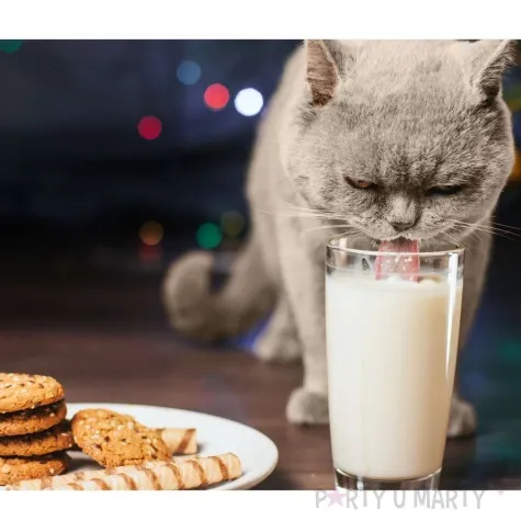 foremka halloween kot mruczek 84x84 mm czarny