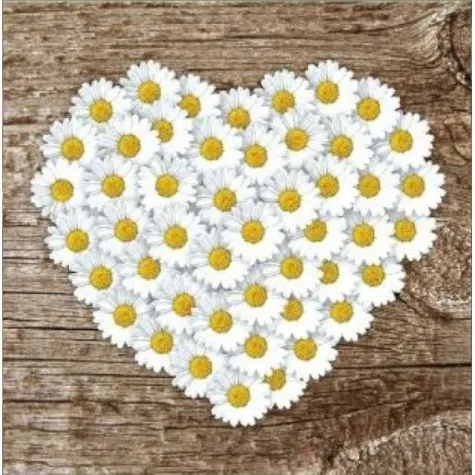 kartka okolicznosciowa serca walentynkowe z koperta stokrotki kemis 15x15 cm