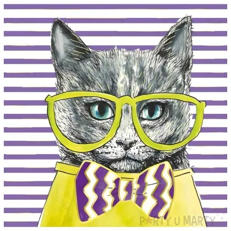 kartka okolicznosciowa urodziny kotki henry 15 x 15 cm