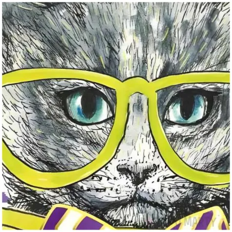 kartka okolicznosciowa urodziny kotki henry 15 x 15 cm