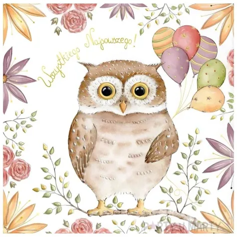 kartka okolicznosciowa urodziny sowa i balony henry 15 x 15 cm
