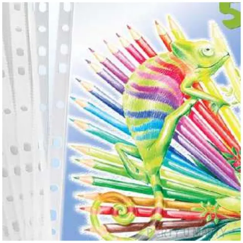 koszulki na dokumenty a4 krystaliczne titanum 50 szt