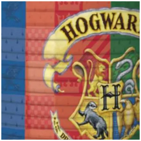kubeczki plastikowe harry potter domu hogwartu procos 200 ml 8 szt
