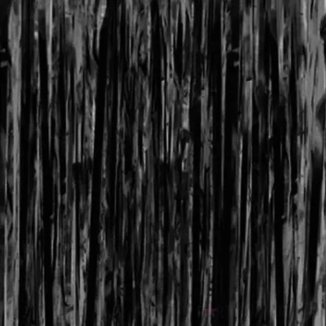 kurtyna na drzwi classic czarna partypal 200 x 100 cm