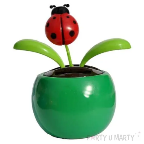 kwiatek solarny tanczaca biedronka mix 10cm