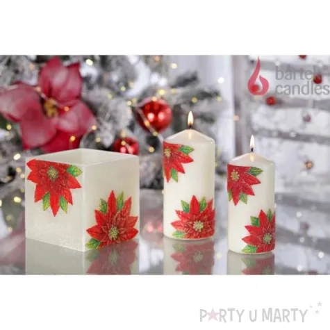 lampion christmas flower kwiaty poinsencji kostka ecru bartek candles 110 105 mm