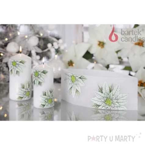lampion christmas flower kwiaty poinsencji lezka bialy bartek candles 95 265 mm