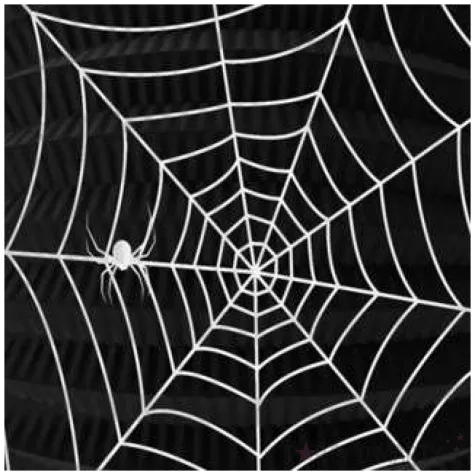 lampion papierowy siec pajaka folat 22 cm