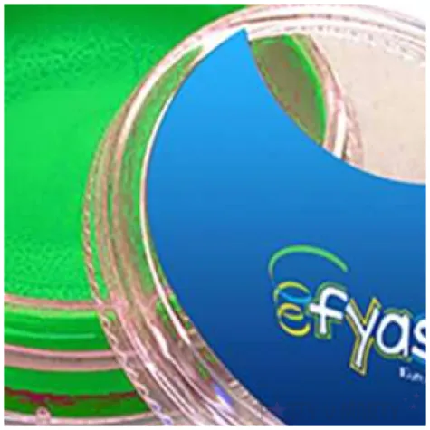 make up party farba do makijazu zielona fyasa 14 g